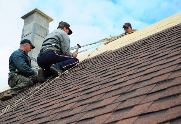 Best Roof Waterproofing Services  in Mccrory, AR